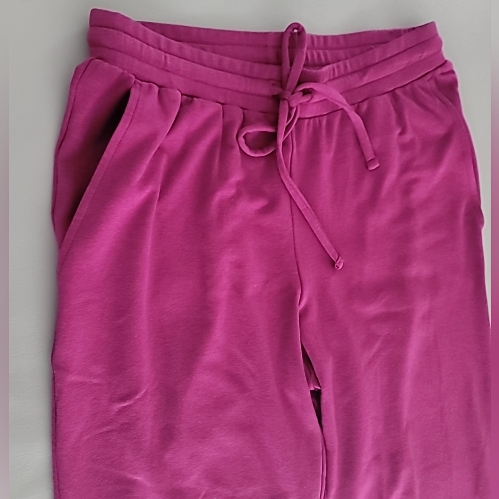 Eileen Fisher Women's Cozy Brushed Terry Hug Jogger Pant XS NWT - Picture 5 of 7